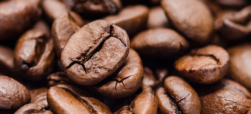 Anirax - ziarna kawy