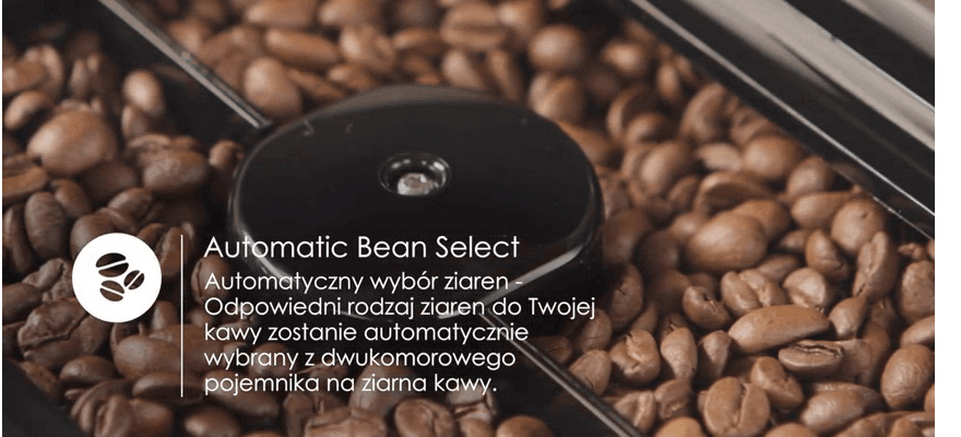 Anirax - Melitta Barista TS Smart podwójna komora